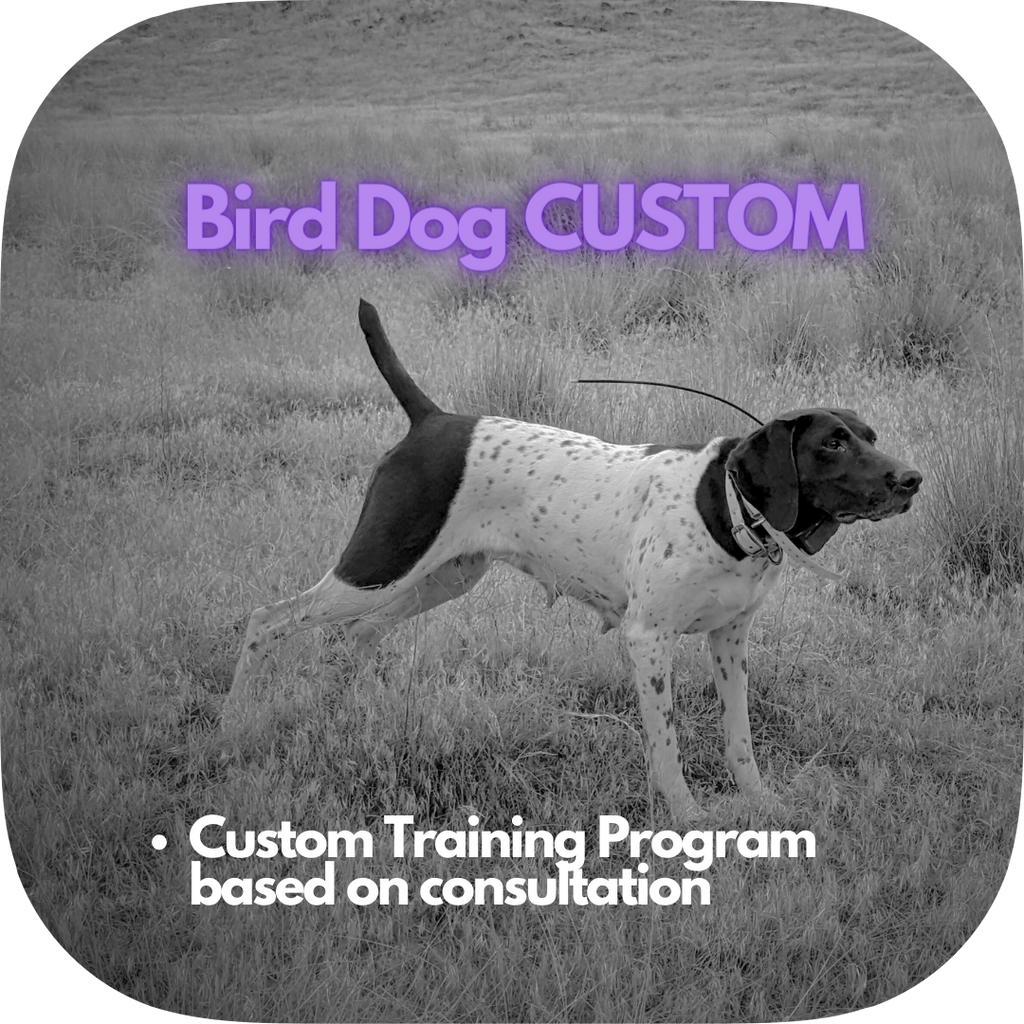 Bird Dog Custom Training Deposit