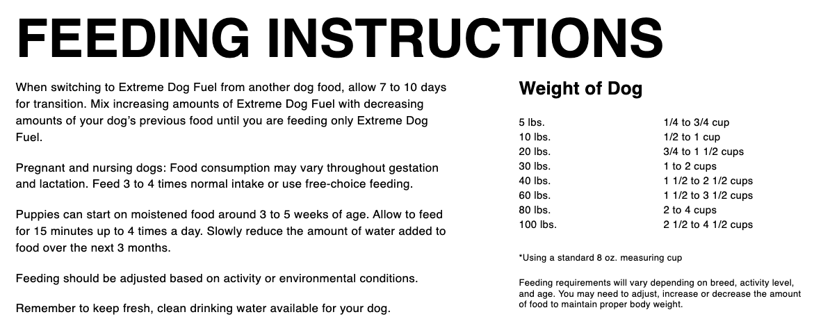 Active Dog