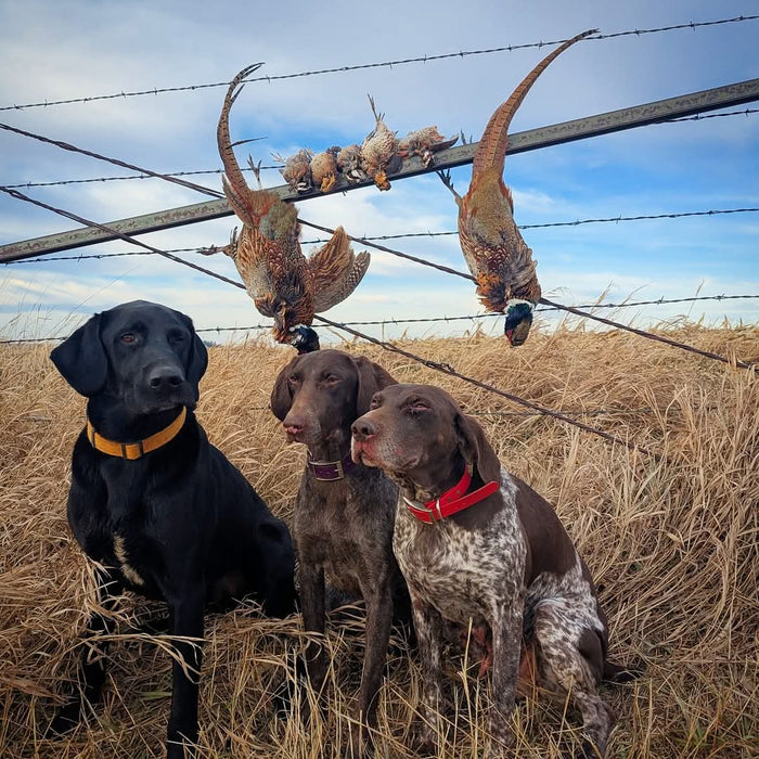 2026-2027 Guided Hunts
