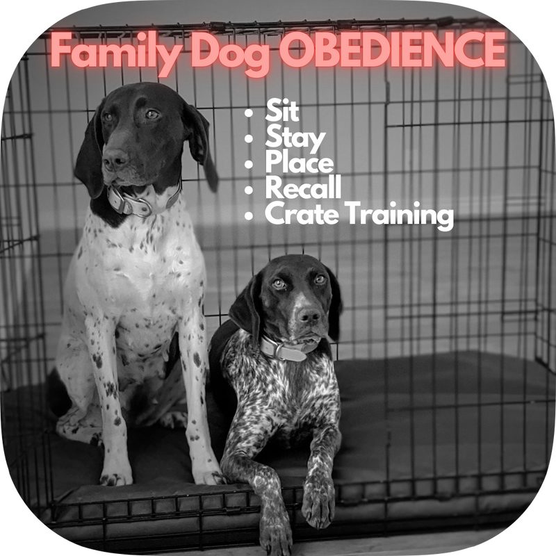 Family Dog Obedience Training Deposit